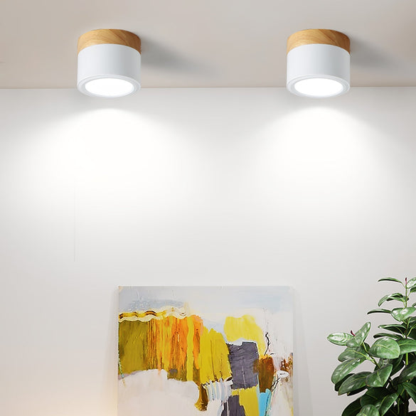 Ceiling Lights