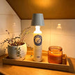 Glass Modern Rechargeable Bottle LED Light Base