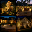 Adjustable Modern Solar Powered Garden Spotlight