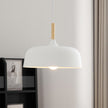 Wood & Aluminium Nordic Pendant Lamp