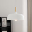 Oak & Zinc Acorn Pendant Light