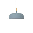 Oak & Zinc Acorn Pendant Light