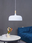 Oak & Zinc Acorn Pendant Light