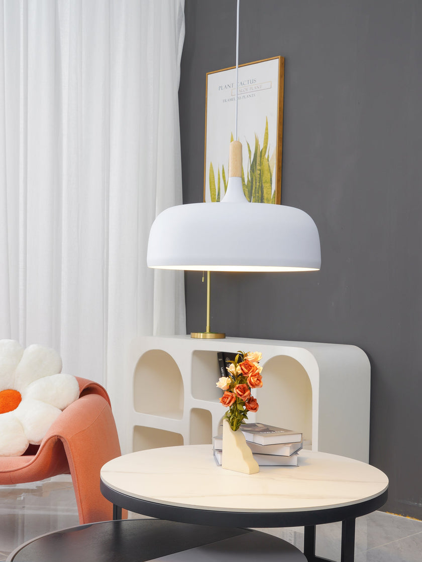 Oak & Zinc Acorn Pendant Light
