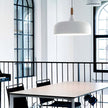 Oak & Zinc Acorn Pendant Light