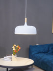 Oak & Zinc Acorn Pendant Light