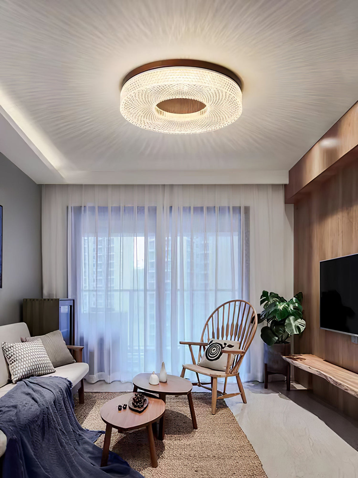 Acrylic Halo Ring Ceiling Light