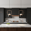Iron Frame Tilting Pendant Light