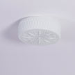 Glass Diffuser Flush Mount Ceiling Light