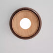 Metal & Glass LED Ceiling Light