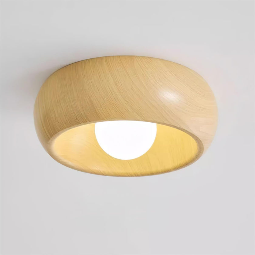 Metal & Glass LED Ceiling Light