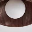 Metal & Glass LED Ceiling Light