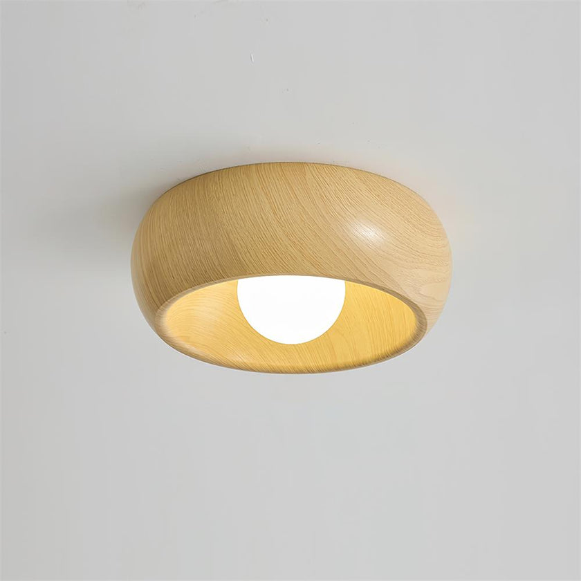 Metal & Glass LED Ceiling Light