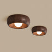 Metal & Glass LED Ceiling Light