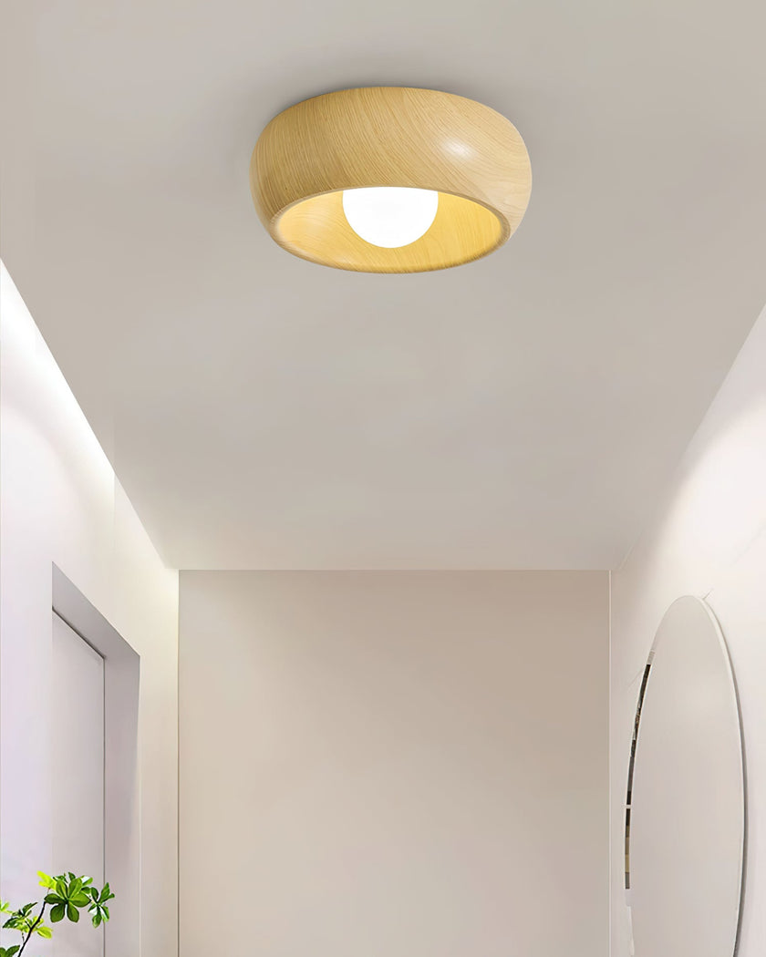 Metal & Glass LED Ceiling Light