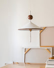 Metal & Acrylic Cone Pendant Lamp