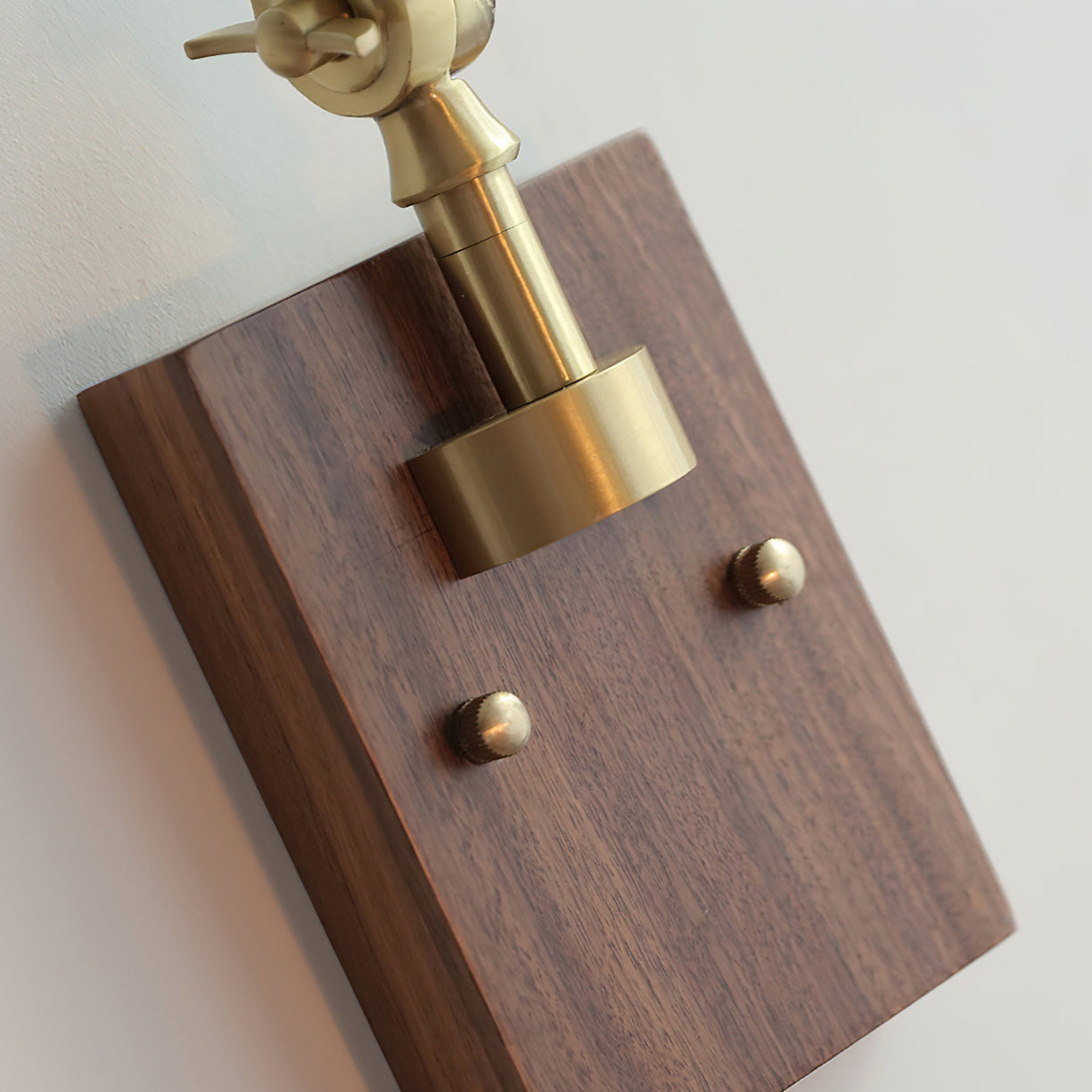 Swing Arm Plug-In Wall Lamp