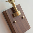 Swing Arm Plug-In Wall Lamp