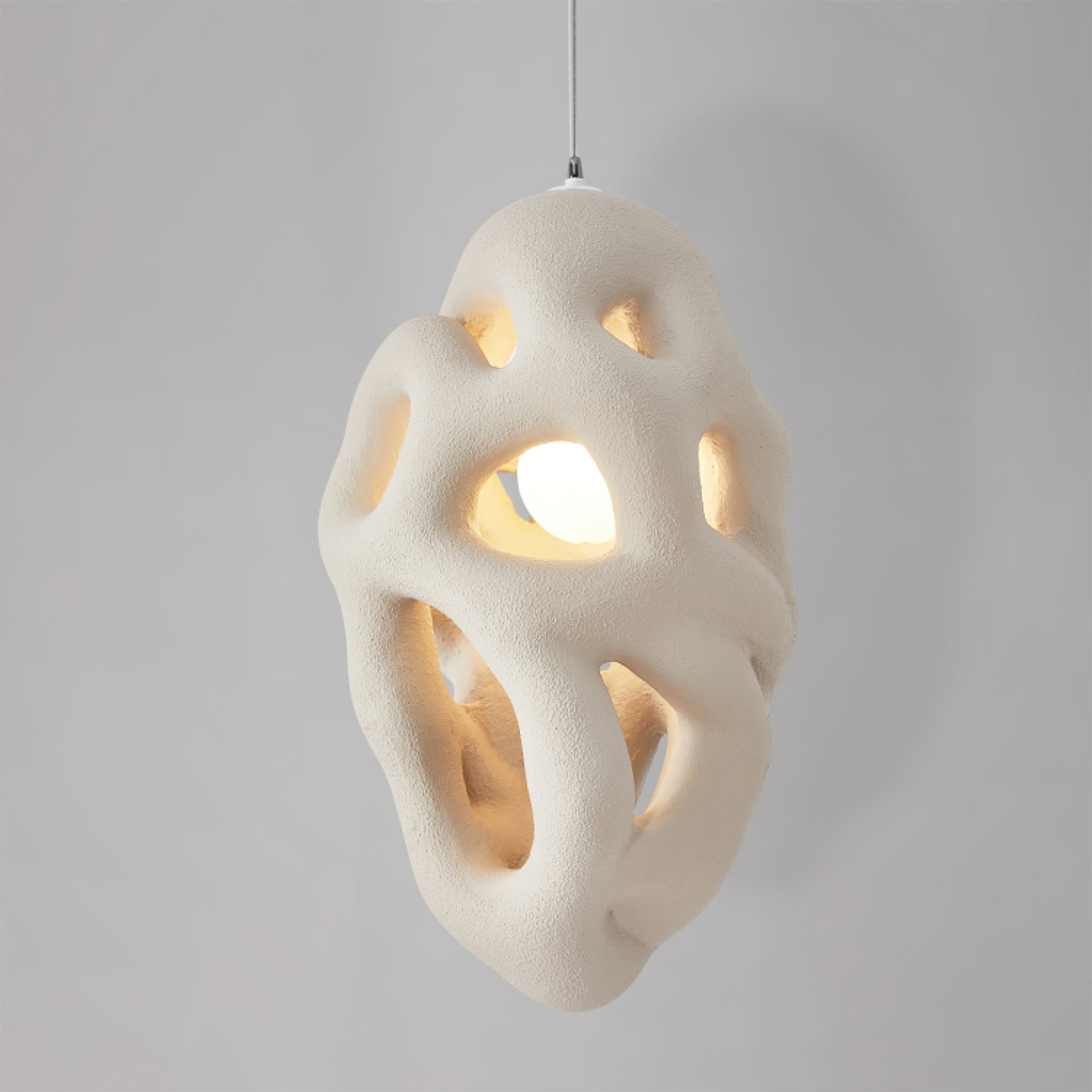 Calvrane Metal Nest Pendant Light