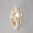 Calvrane Metal Nest Pendant Light