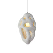 Calvrane Metal Nest Pendant Light