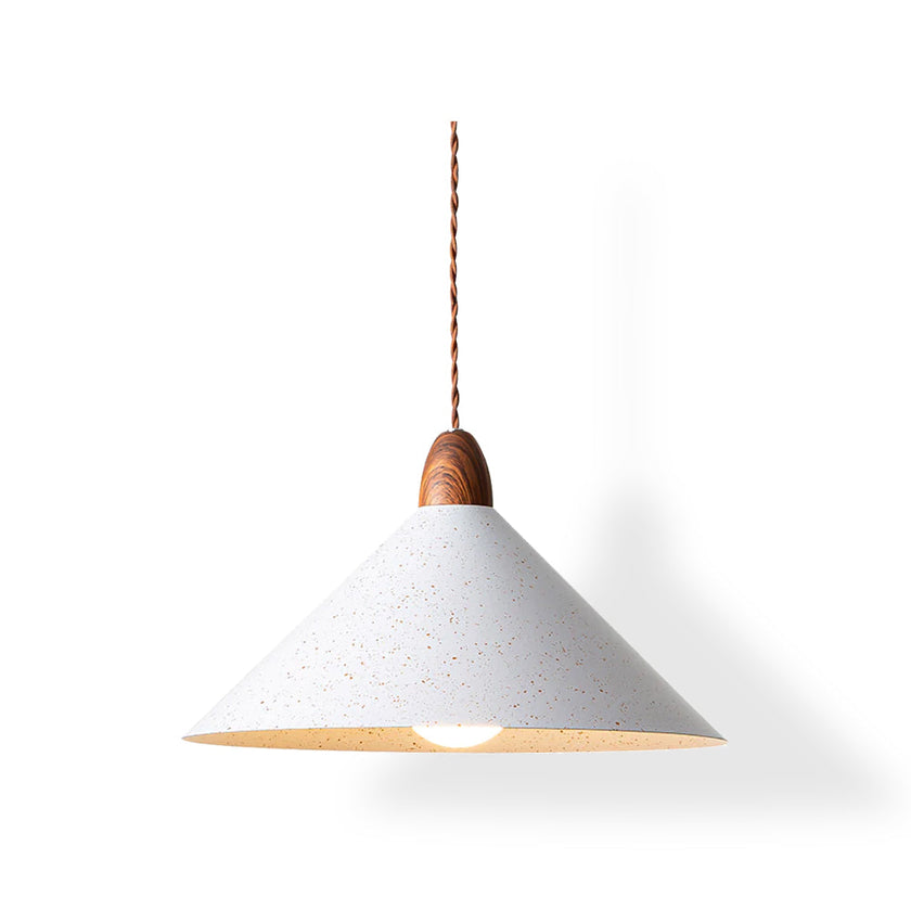 Calvrane Metal Modern Pendant Light