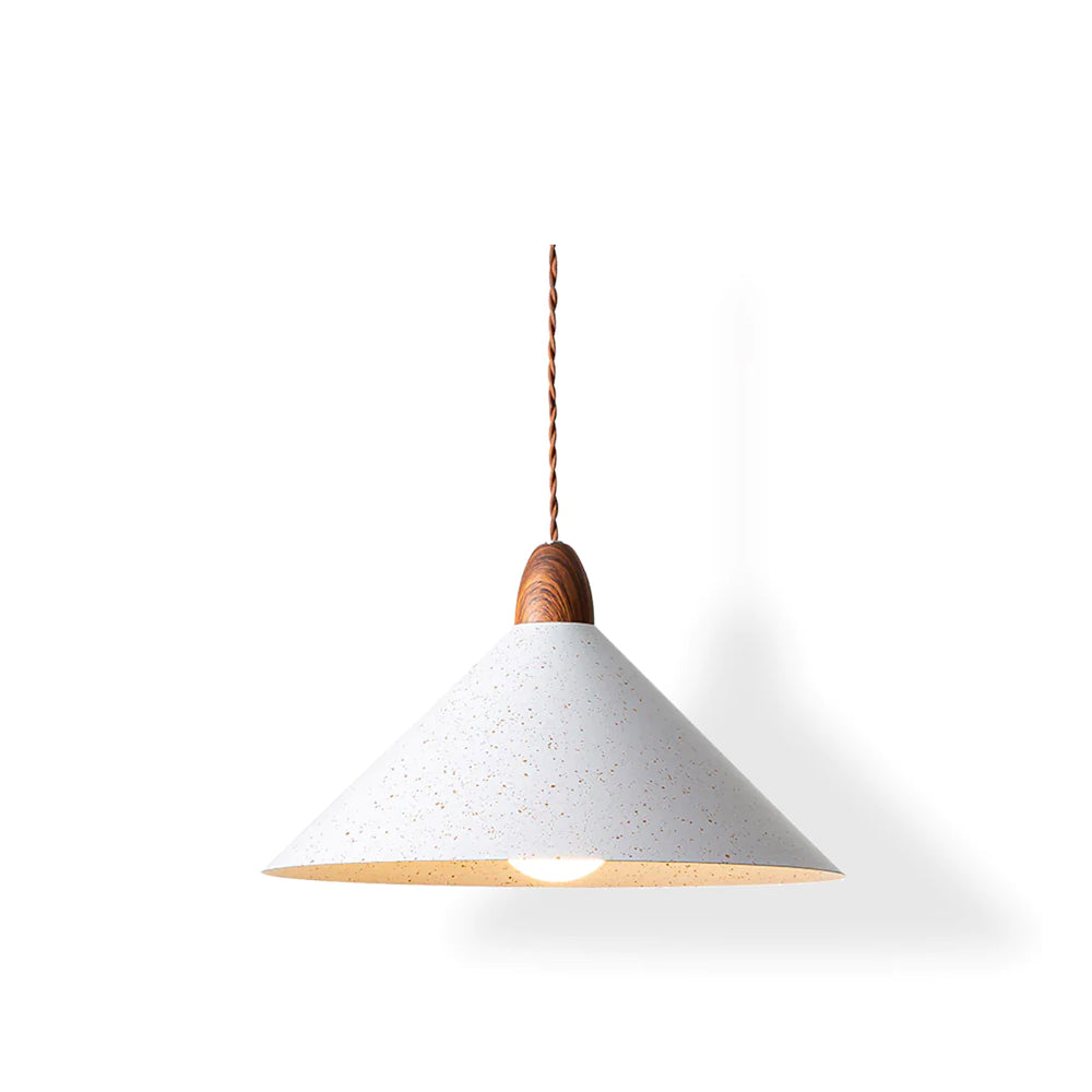 Calvrane Metal Modern Pendant Light