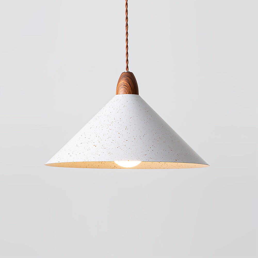 Calvrane Metal Modern Pendant Light
