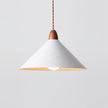 Calvrane Metal Modern Pendant Light