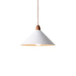 Calvrane Metal Modern Pendant Light
