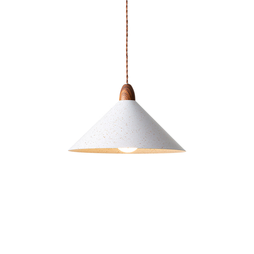 Calvrane Metal Modern Pendant Light
