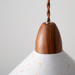 Calvrane Metal Modern Pendant Light