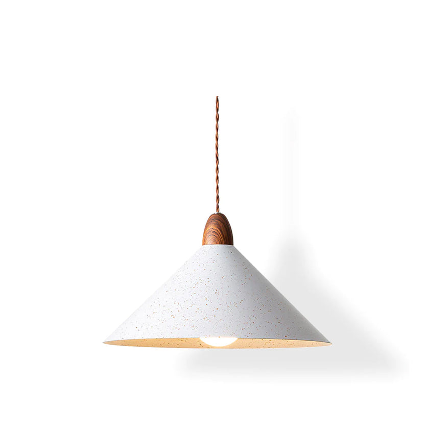Calvrane Metal Modern Pendant Light