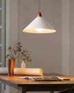 Calvrane Metal Modern Pendant Light