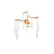 Calvrane Brass Droplet Wall Sconce