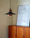 Calvrane Metal Cage Pendant Light
