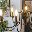 Calvrane Metal Modern Chandelier