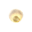 Calvrane Brass Crystal Wall Sconce
