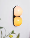 Calvrane Glass Domed Dual-Light Wall Sconce