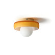 Glass Orb and Metal Disc Ceiling Light