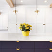 Brass Disc Dome Pendant Light