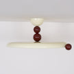Calvrane Acrylic Dome Ceiling Lamp