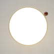 Calvrane Acrylic Dome Ceiling Lamp