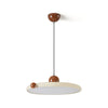 Calvrane Acrylic Round Disc Pendant Light