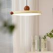 Calvrane Acrylic Round Disc Pendant Light