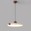 Calvrane Acrylic Round Disc Pendant Light
