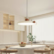 Calvrane Acrylic Round Disc Pendant Light