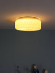 Glass Diffuser Flush Mount Ceiling Light