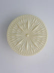 Glass Diffuser Flush Mount Ceiling Light