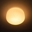 Glass Diffuser Flush Mount Ceiling Light